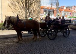 Holzmarkt 2018  In Jena 004